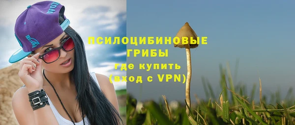 бутират Иннополис