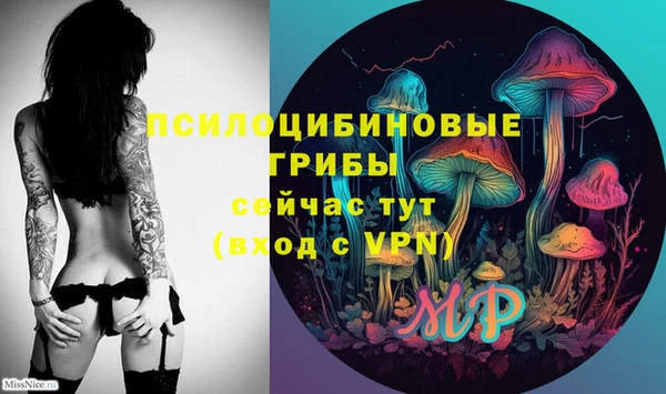 первитин Инта