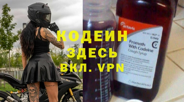 первитин Инта
