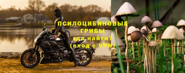 первитин Инта