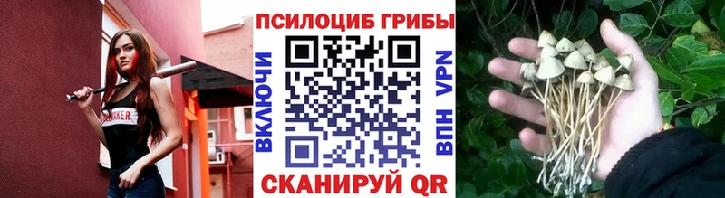 Галлюциногенные грибы Cubensis  Купить закладки  Полярный 